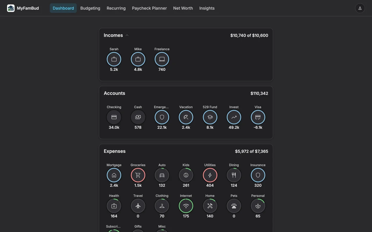 Dashboard with circles for income, accounts, and expenses